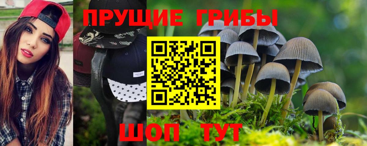 Псилоцибиновые грибы мухоморы Десногорск