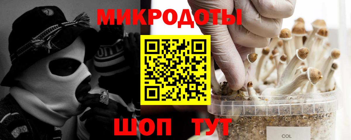 Галлюциногенные грибы GOLDEN TEACHER  Вход с VPN  Десногорск 